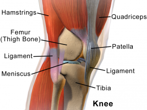 sports massage