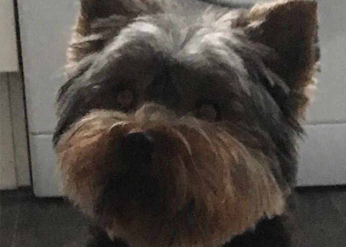 Billy